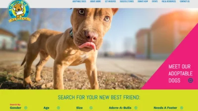 Animal Rescue Website Development for Adoption Platform